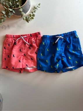 Bundle of 2 Boys Swim Trunks | Dinosaur Print | Size 4T